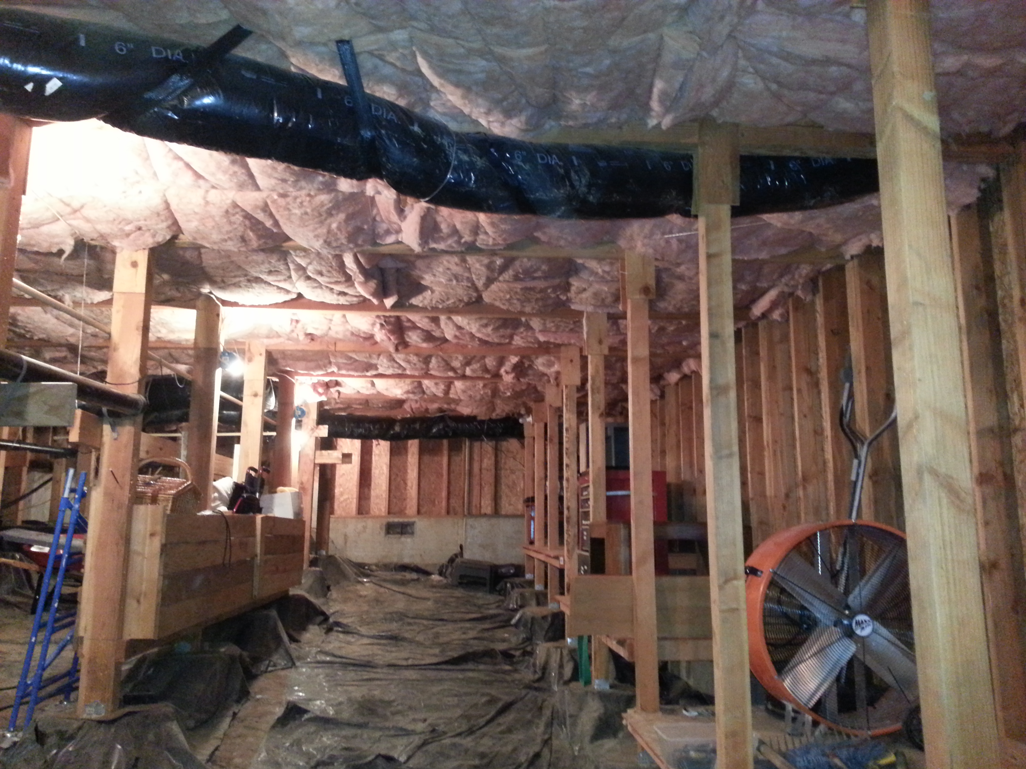 Aloha, OR Interior Basement Storage Framing & Sheeting Project - Before Pics Gallery Image